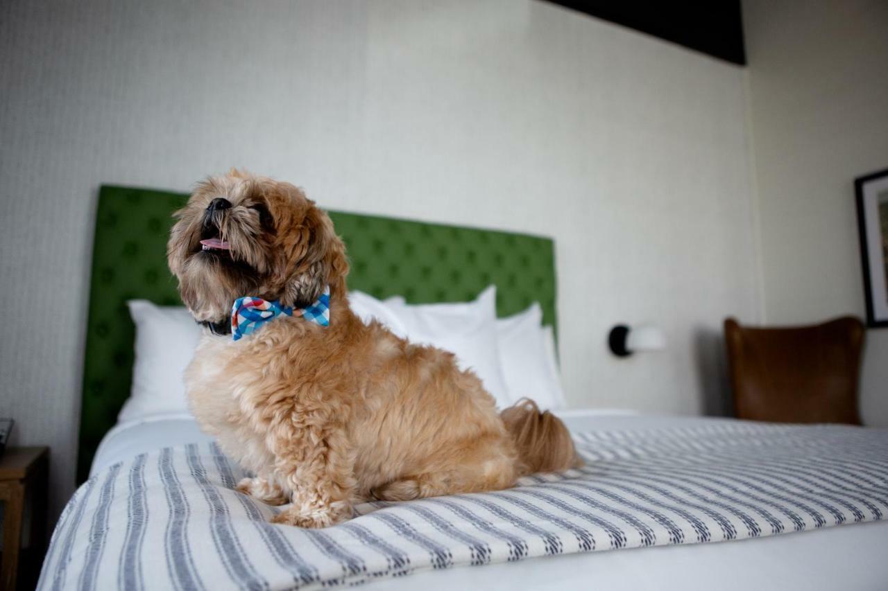 Origin Lexington, A Wyndham Lexington